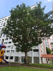 Blk 675B Fern Grove @ Yishun (Yishun), HDB 3 Rooms #639562781